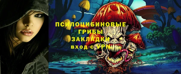 гидропоника Алзамай