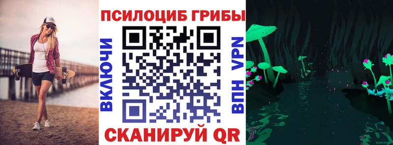 даркнет состав Анжеро-Судженск Галлюциногенные грибы Psilocybine cubensis